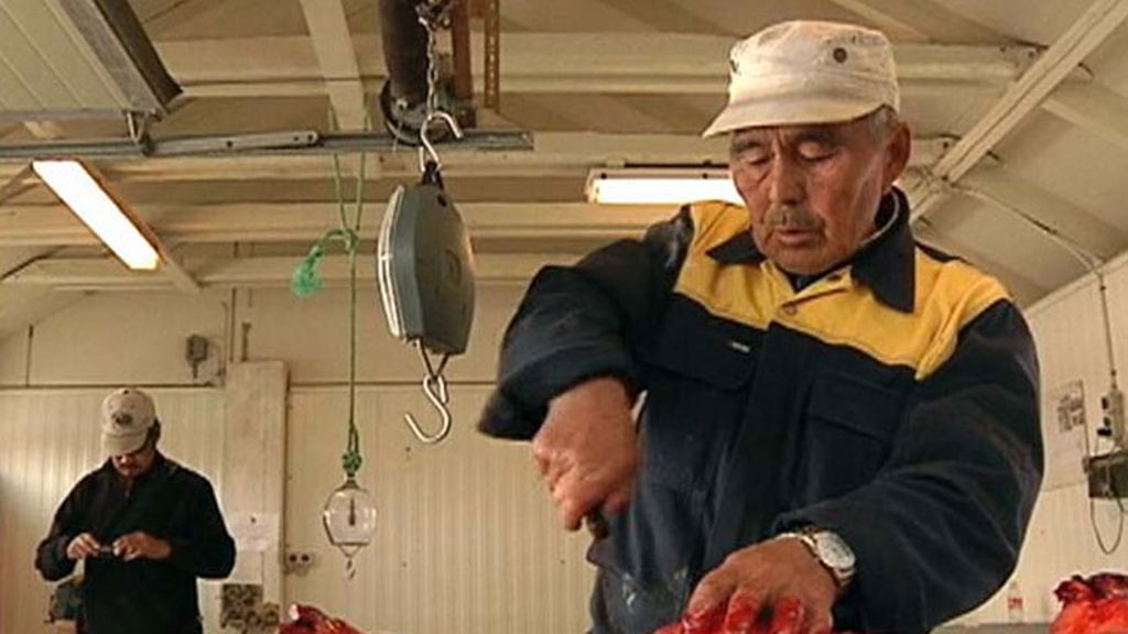 'Callejeros Viajeros' en Groenlandia