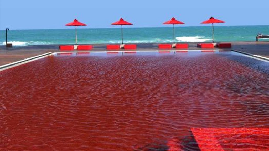 Las piscinas más curiosas del mundo