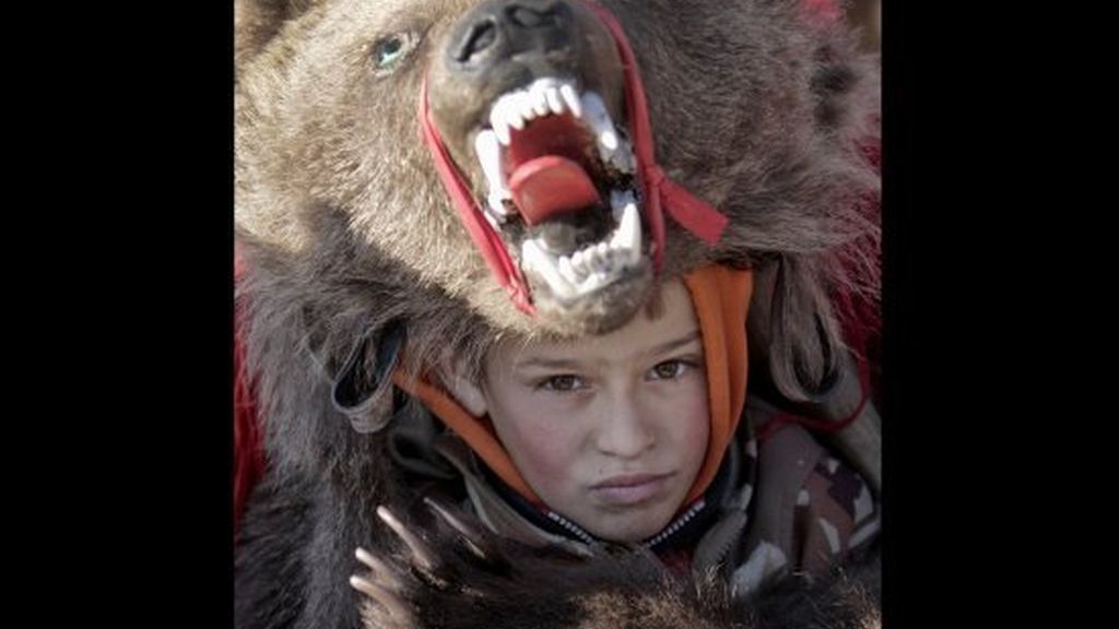 ¿Quién teme al oso feroz?