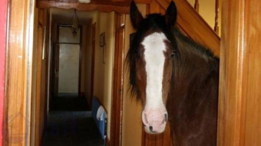 El portal Idealista ha elaborado una selección de las peores fotos