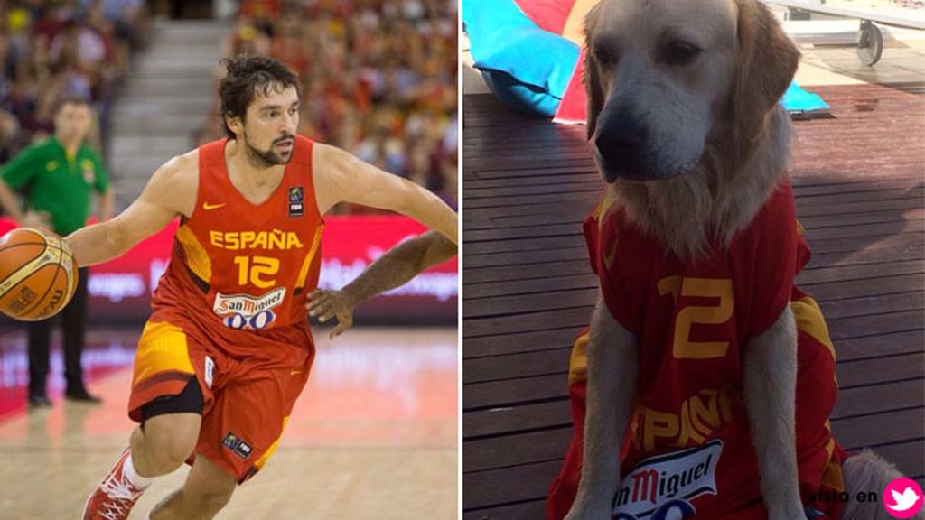 Y como tener mascota está de moda, pues aquí tenemos a Buddy