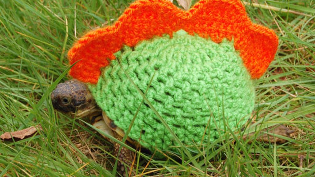 Las tortugas y sus trajes de ganchillo