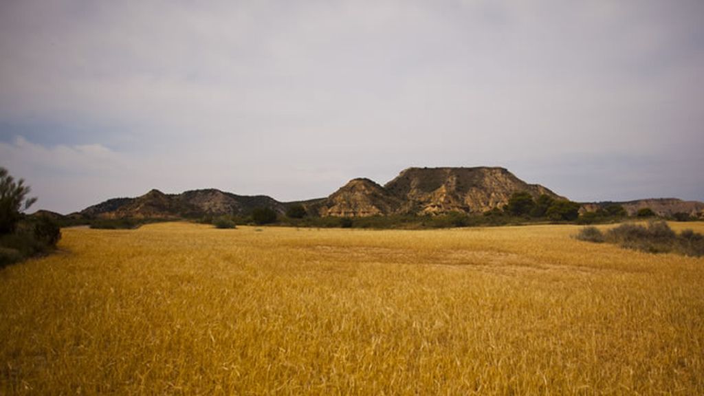 Los Monegros es la vista elegida por José Luis Gil