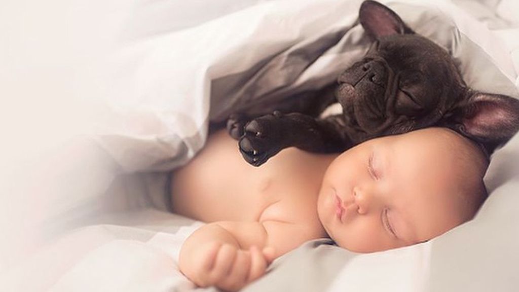 Dilan y Farley, su perro, comparten algo más que su cumpleaños