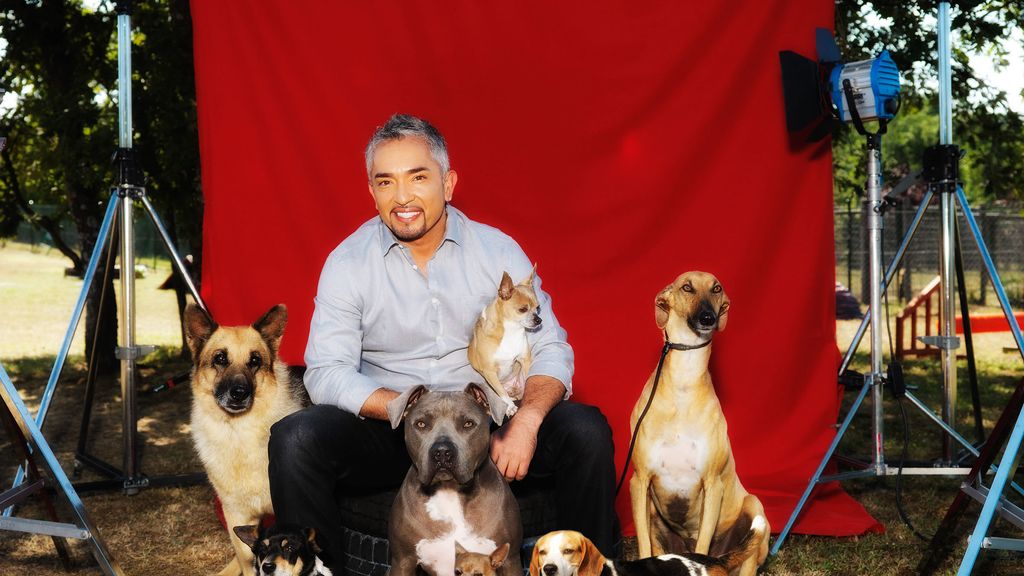 cësar Millán es el 'líder de la manada' de Cuatro