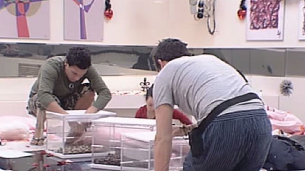 Más animaladas en Gran Hermano