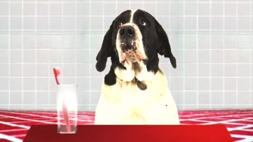 Ya a la venta el libro Uno más en la familia