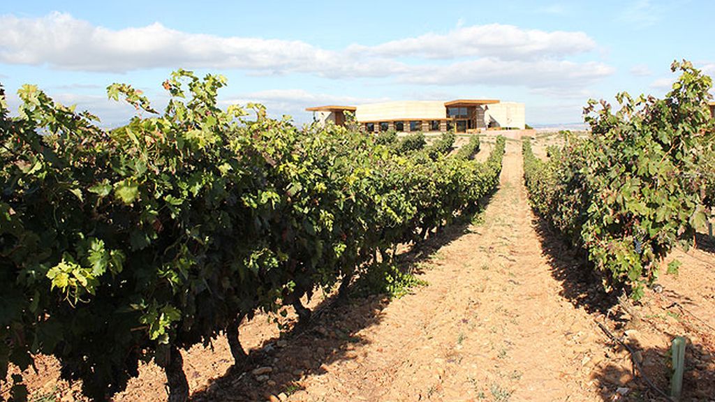 Los bodegas españolas se han convertido en referente de arte di-vino