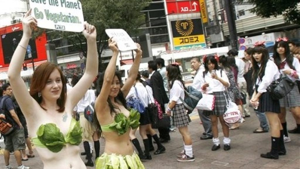 Protesta ambientalista en Japón