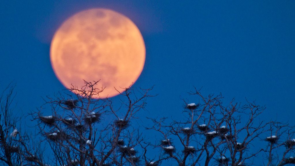 La 'superluna' se come la Tierra