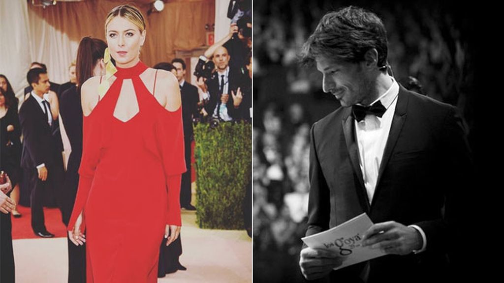 Sharapova y Velencoso ¿juntos? Analizamos en sus redes qué tienen en común