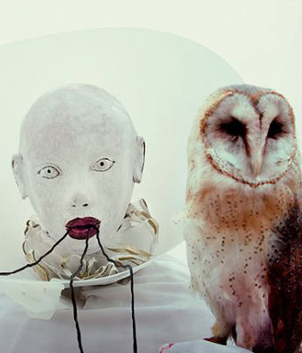 Polémicas fotografías escalofriantes con animales disecados