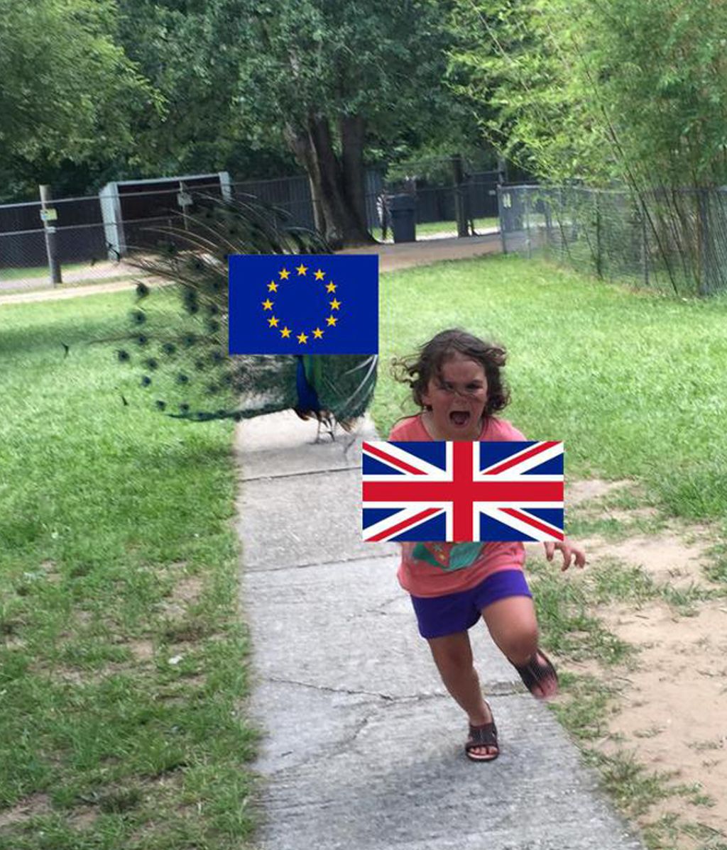 La Red parodia la huida desesperada de una niña ante un pavo real