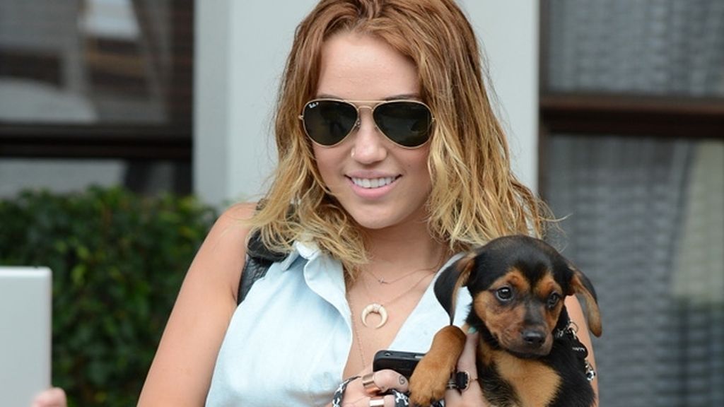 La vena perra de Miley Cyrus