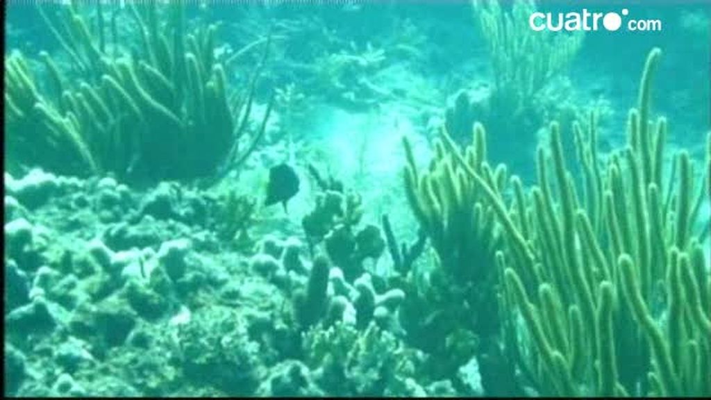 Puerto Rico: Nos vamos de buceo