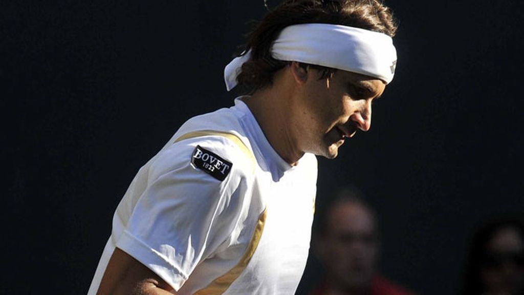 David Ferrer