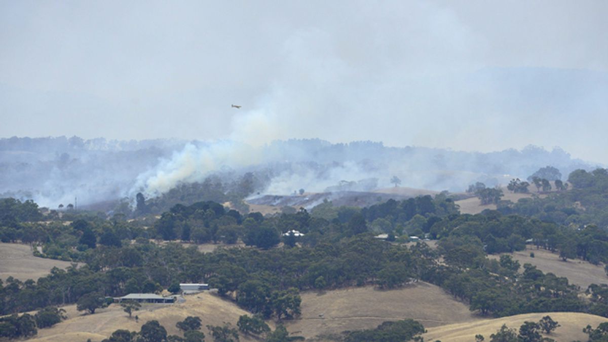 El sur de Australia se enfrenta a varios incendios que ya ha dejado 100 kilómetros cuadrados arrasados