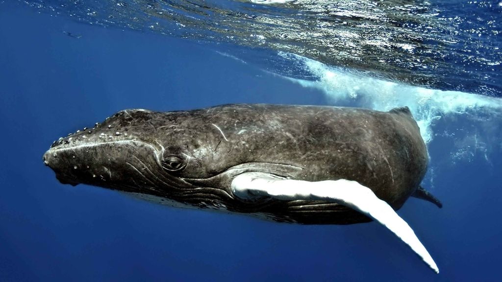 Increíbles fotos tomadas  en el Banco de la Plata en República Dominicana
