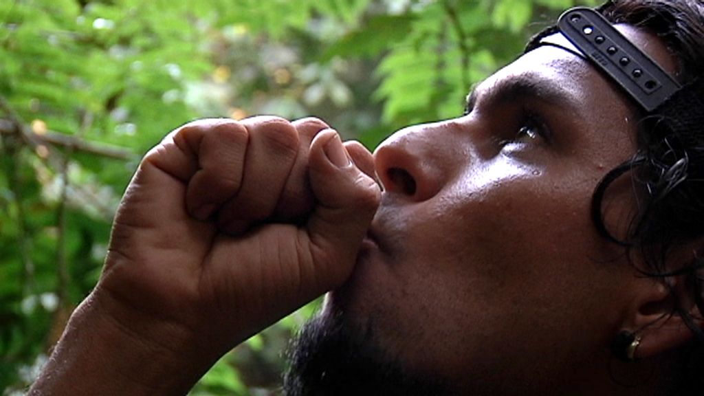 Callejeros Costa Rica