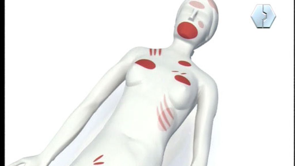 El caso Wanninkhof- Carabantes paso a paso