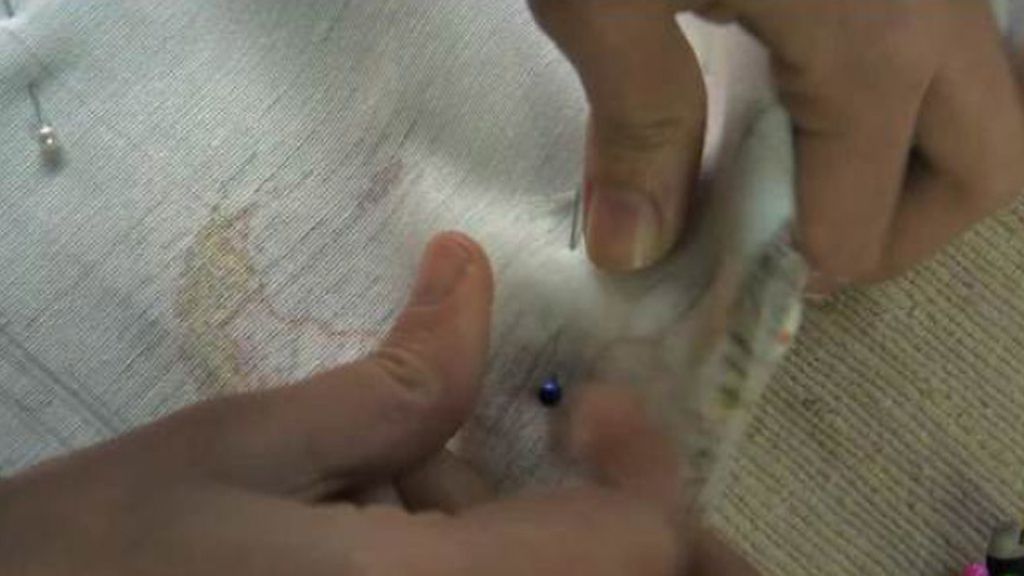 Capítulo 10 de Tricotosas: Pasaportera