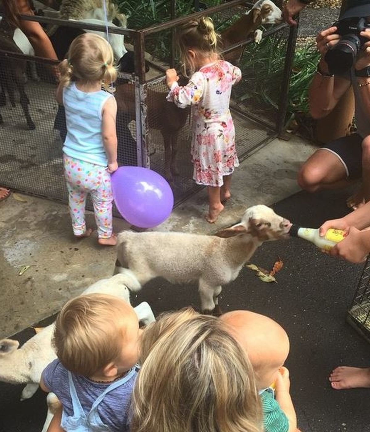 Elsa Pataky y su 'pet zoo' para celebrar el cumple de sus mellizos Tristan y Sasha