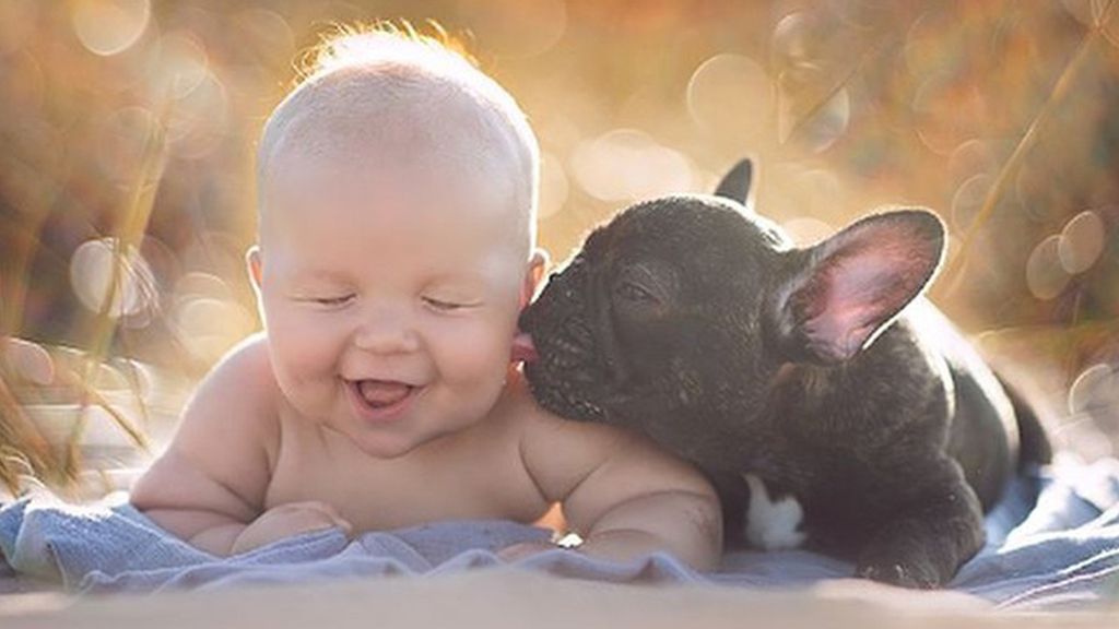 Un perro y un bebé nacen el mismo día y son inseparables