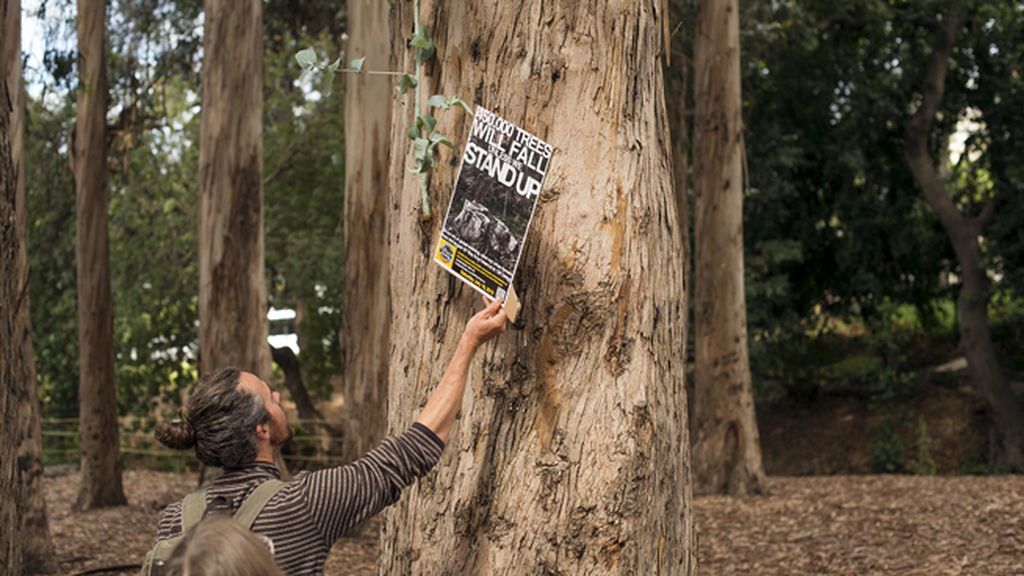 Se manifiestan desnudos para parar una deforestación en Berkeley, Estados Unidos