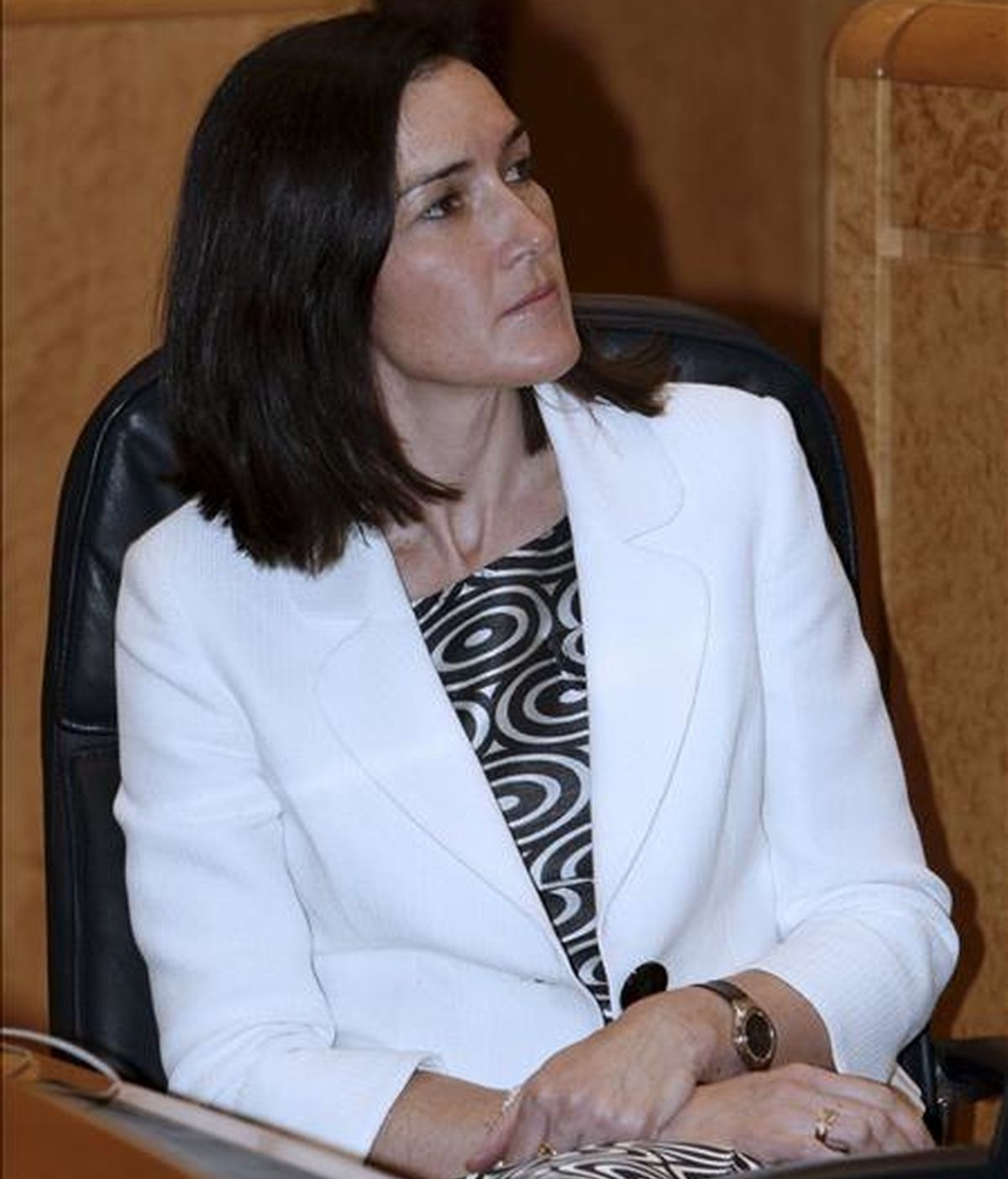 La ministra de Cultura, Ángeles González-Sinde, durante la sesión de control al Gobierno que se ha celebrado hoy en el Senado. EFE