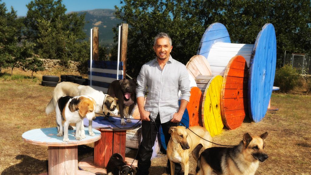 cësar Millán es el 'líder de la manada' de Cuatro