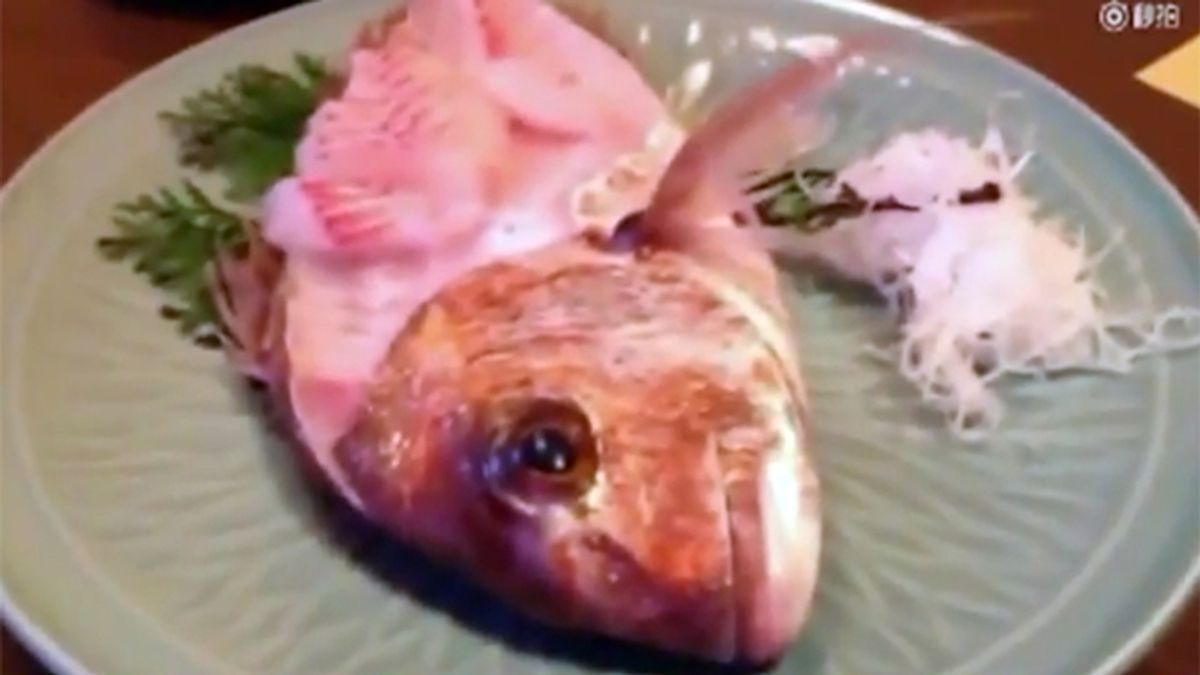 Ordenan pescado para cenar y el pez vuelve a la vida dando saltos en pleno restaurante