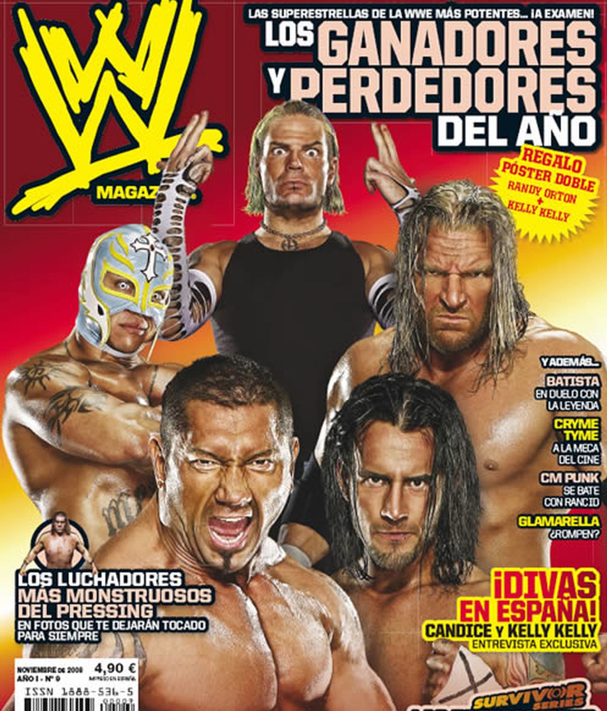 Revista noviembre 2008
