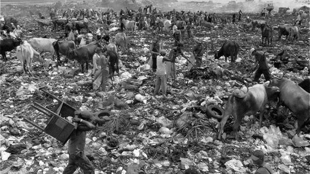 Nicaragüenses y animales comparten espacio con la basura
