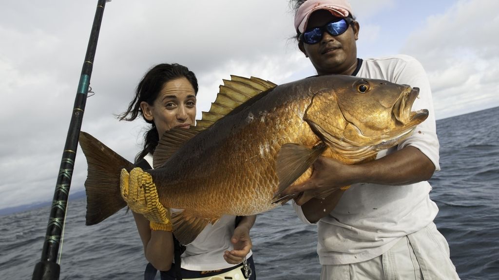 Concusantes Efecto ¡GUAU!... en vacaciones