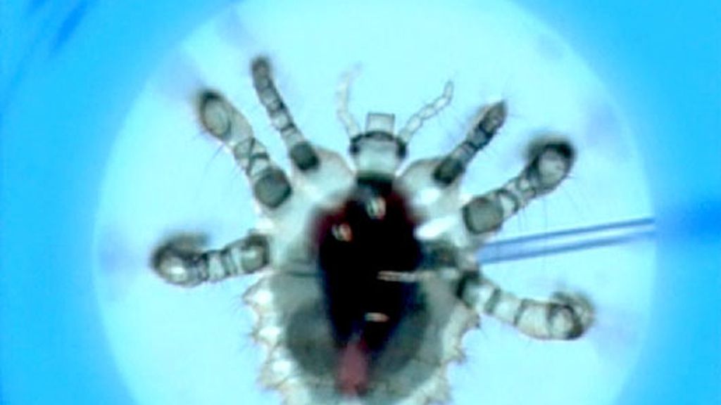 Cap. 17, Temporada 7: 'ídolos caídos'