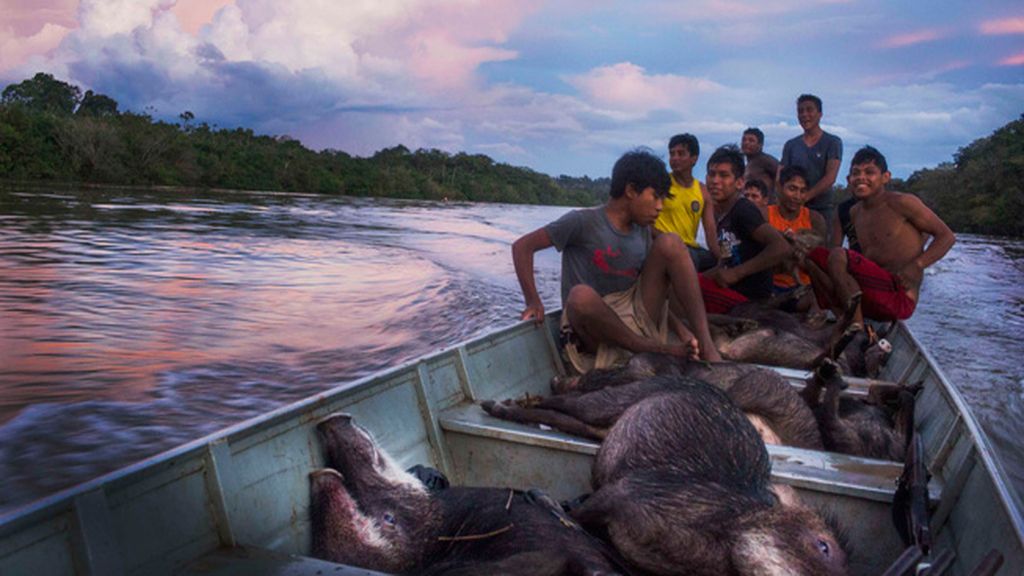 Los Xikrin Kayapó, un pueblo en lucha por su supervivencia en Brasil