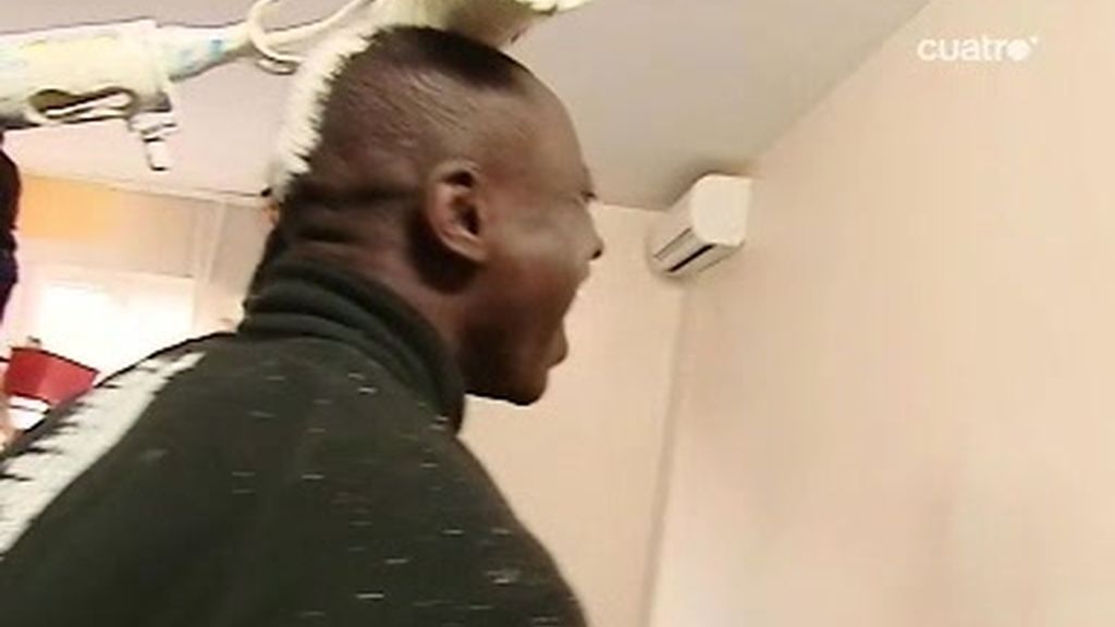 Cuando se ponen a pintar...