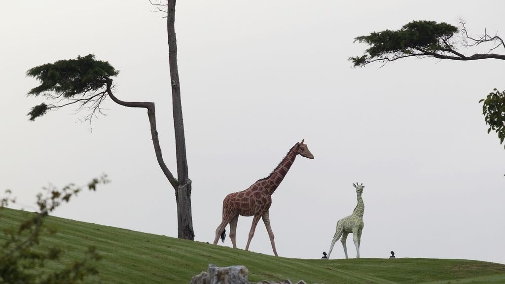 Así vivía Kim Dotcom