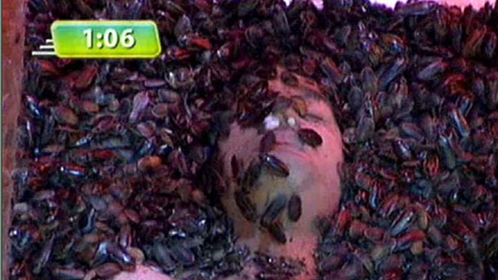 Los récords del programa
