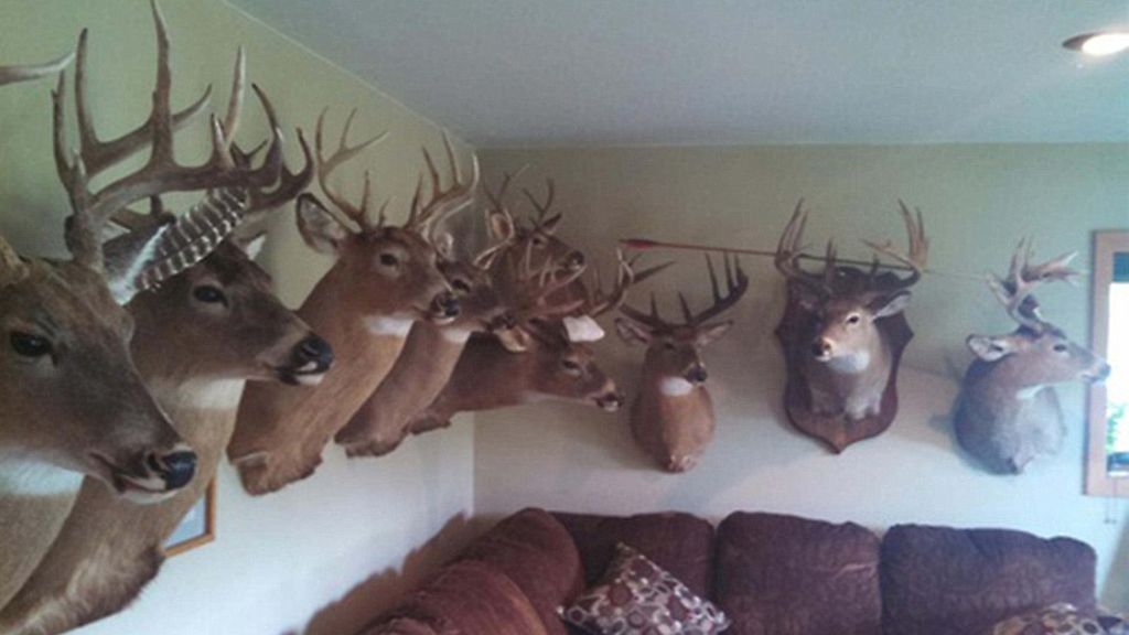 ¿Comprarías alguna de estas casas?