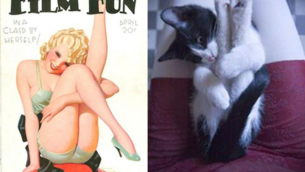 Gatos que parecen chicas pìn-up