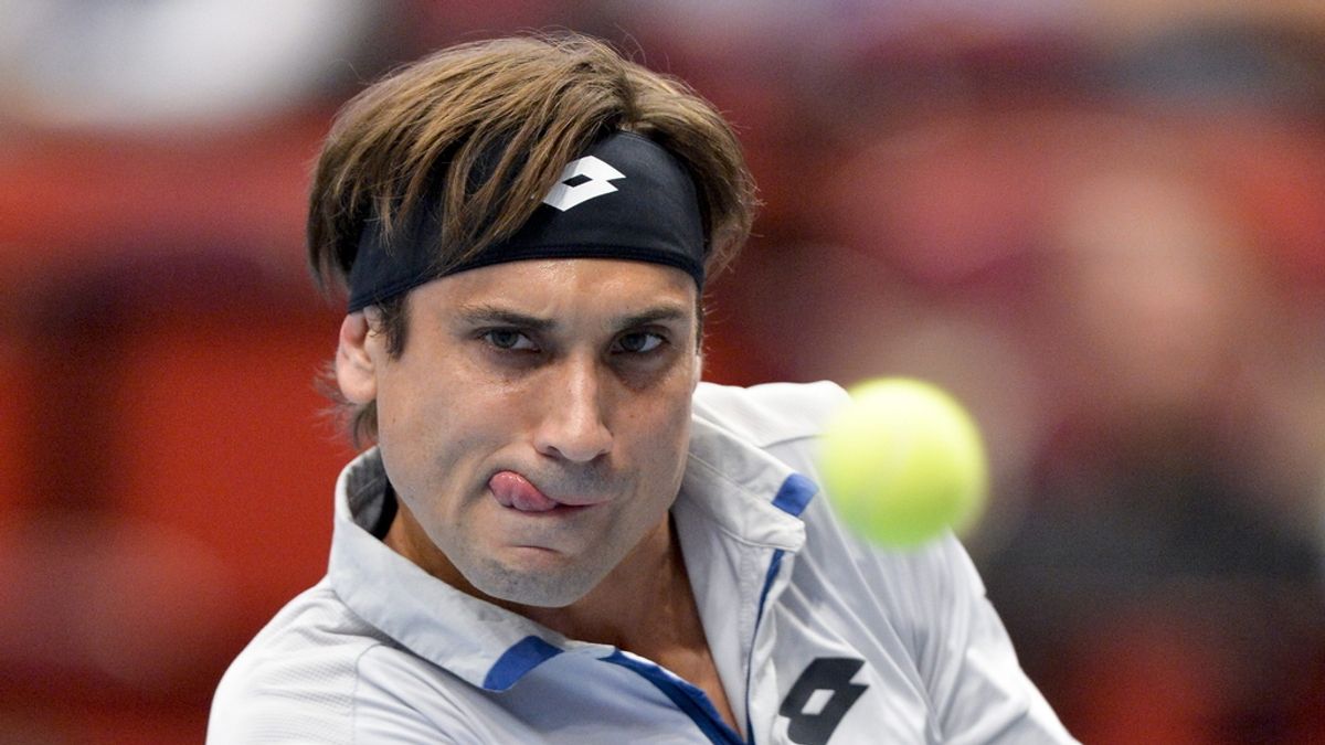 David Ferrer