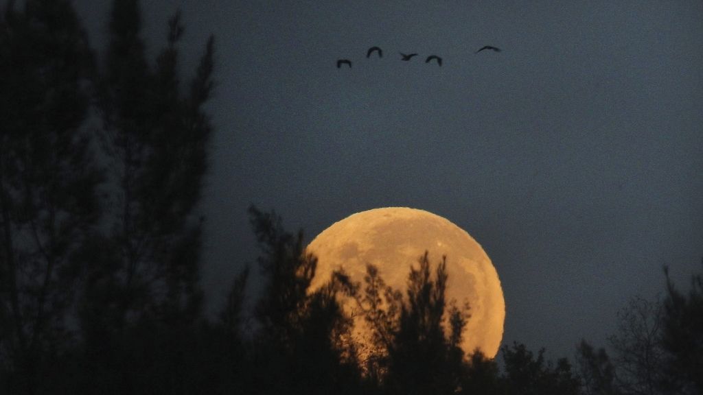 La 'superluna' se come la Tierra