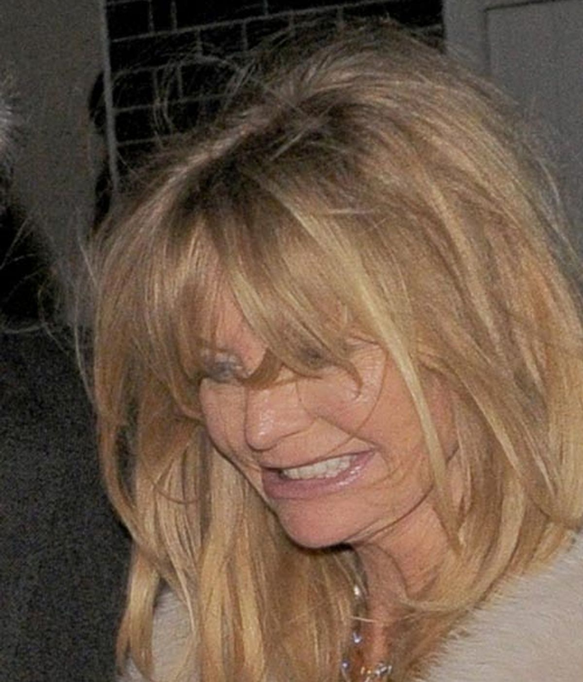 Goldie Hawn: Esta noche hay una... cena benéfica, vayamos todos a la cena benéfica