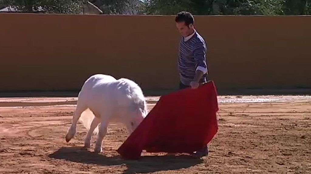 Jabalíes, ciervas, linces, burros, ocas y ponis... unos animales muy domésticos