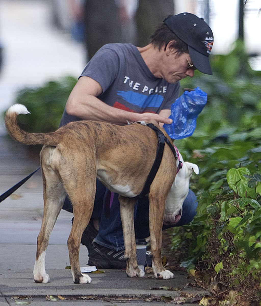 ¡Las celebrities sí que recogen las cacas de sus perros!