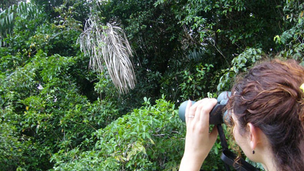 Naturaleza en estado puro