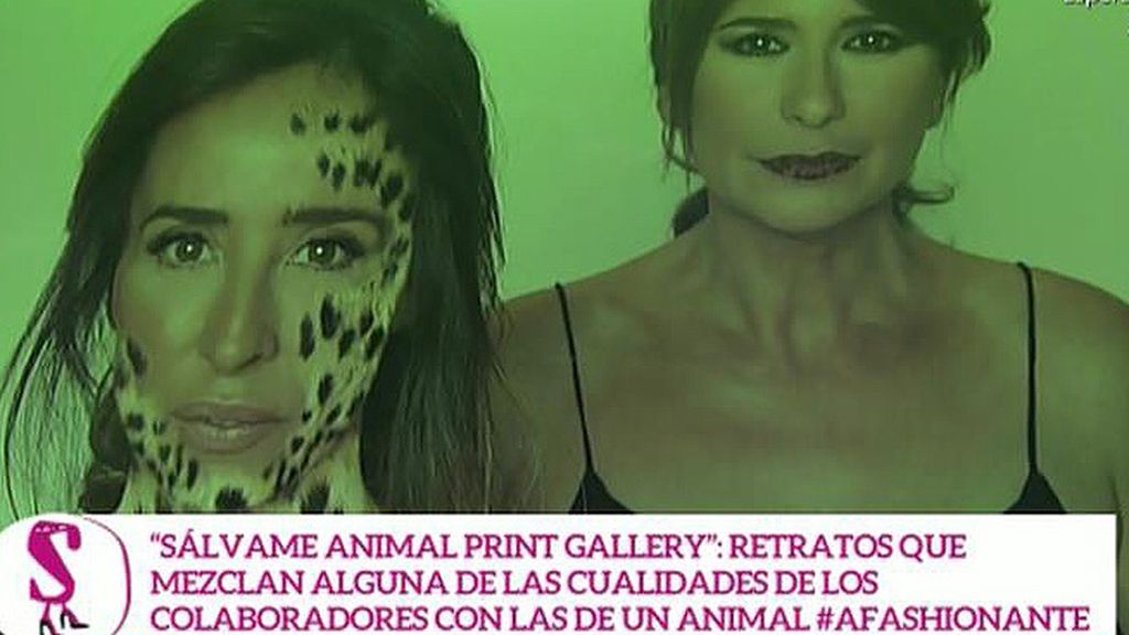 Leones, tigres, pumas, leopardos... La otra cara de los colaboradores