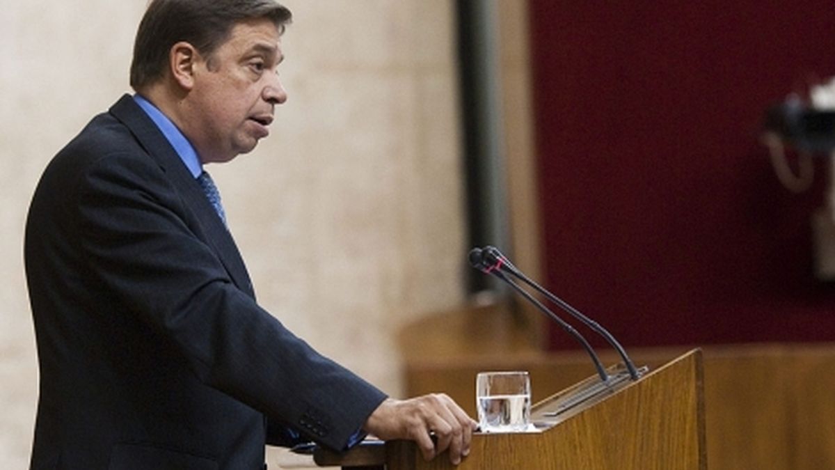 El consejero Planas anuncia que se presenta a las primarias del PSOE andaluz