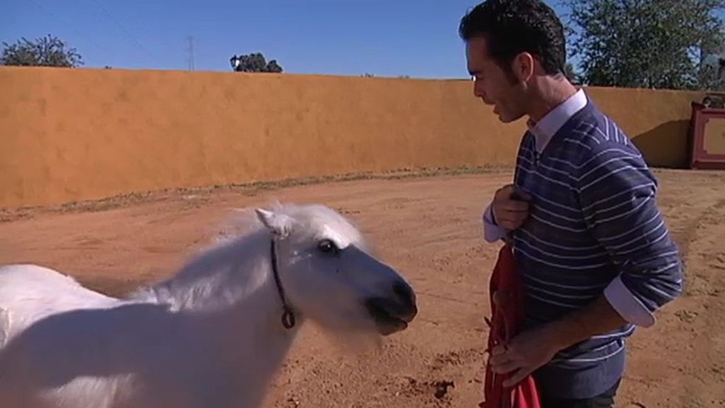 Jabalíes, ciervas, linces, burros, ocas y ponis... unos animales muy domésticos